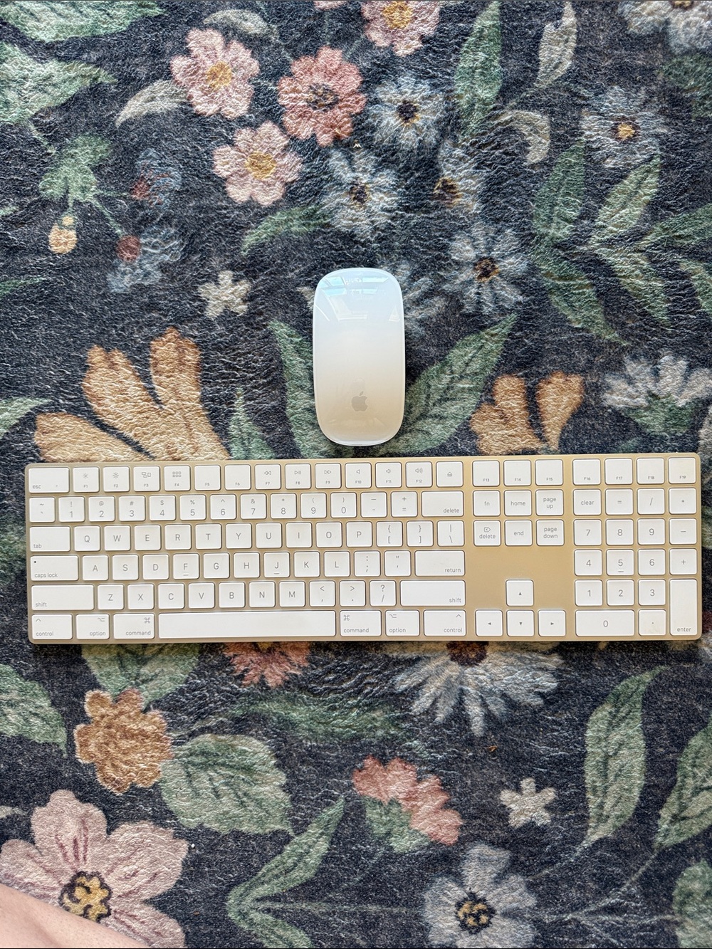 Apple Magic Keyboard Numeric Keypad + Magic Mouse 2